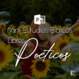 Libros Poéticos 